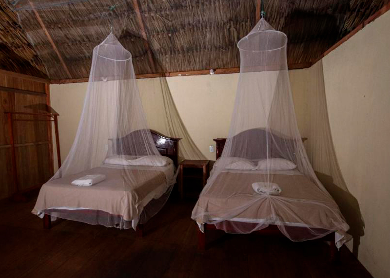 Free website template