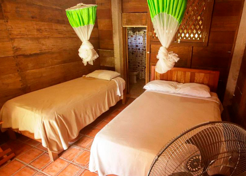 Free website template