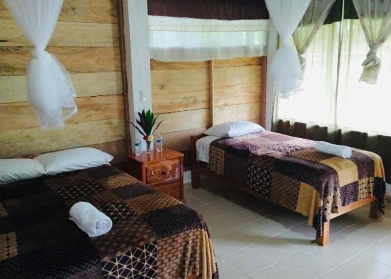 Free website template